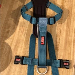 Kong steel blue dog harness